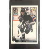 1993-94 Upper Deck Hockey