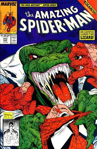The Amazing Spider-Man (1963) #313