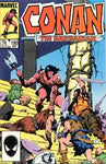 Conan The Barbarian (1970) #180
