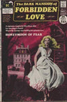 The Dark Mansion of Forbidden Love (1971) #2