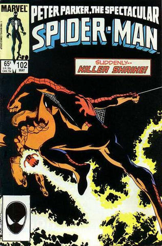 Peter Parker: The Spectacular Spider-Man (1976) #102