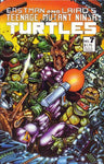 Teenage Mutant Ninja Turtles (1984) #7