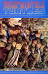 Teenage Mutant Ninja Turtles (1984) #35