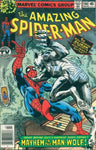 The Amazing Spider-Man (1963) #190