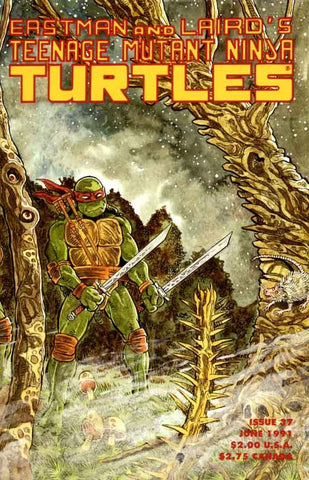 Teenage Mutant Ninja Turtles (1984) #37