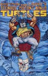 Teenage Mutant Ninja Turtles (1984) #48