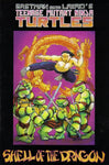 Teenage Mutant Ninja Turtles (1984) #18  (second print cover)