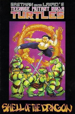 Teenage Mutant Ninja Turtles (1984) #18  (second print cover)