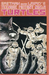 Teenage Mutant Ninja Turtles (1984) #1 (Fifth Print Cover)