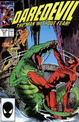 Daredevil (1964) #247