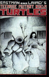 Teenage Mutant Ninja Turtles (1984) #17