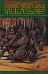 Teenage Mutant Ninja Turtles (1984) #31