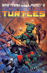 Teenage Mutant Ninja Turtles (1984) #33