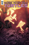 Teenage Mutant Ninja Turtles (2011) #58 (Cover A)