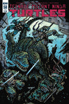 Teenage Mutant Ninja Turtles (2011) #58 (Cover C)